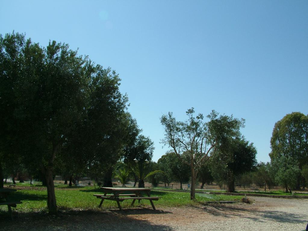 Agriturismo Terra D'Ulivi Villa Porto Cesareo Habitación foto